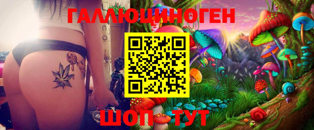 Псилоцибиновые грибы Magic Shrooms  Вход с VPN  Новочеркасск  Псилоцибиновые грибы GOLDEN TEACHER 