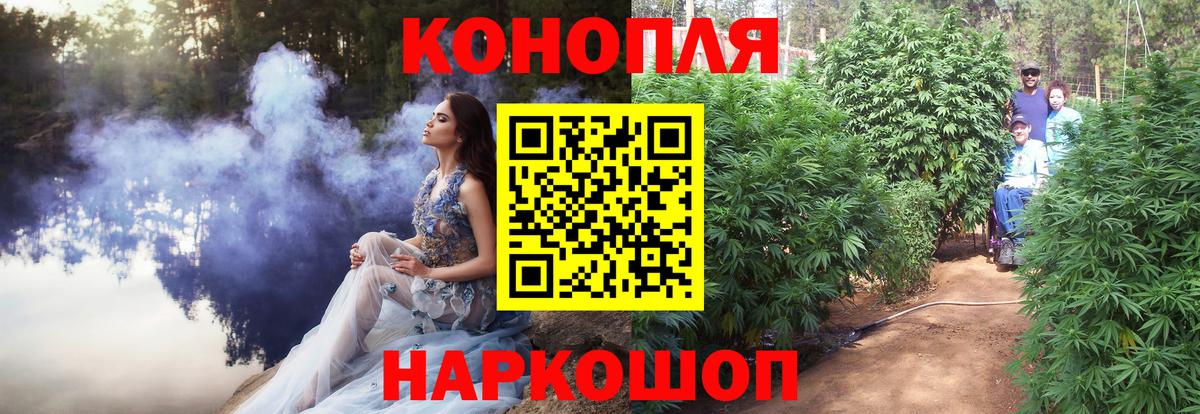 Шишки марихуана семена  Вход с VPN  Новочеркасск  Марихуана AK-47 